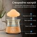 Ультразвуковой увлажнитель воздуха Doctor-101 Rainfall с эффектом дождя. Ночник гриб с увлажнителем воздуха, оригинал